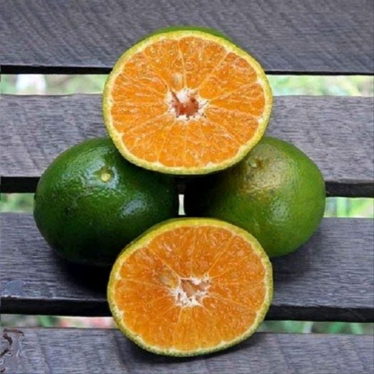 Jeruk Manis Pontianak